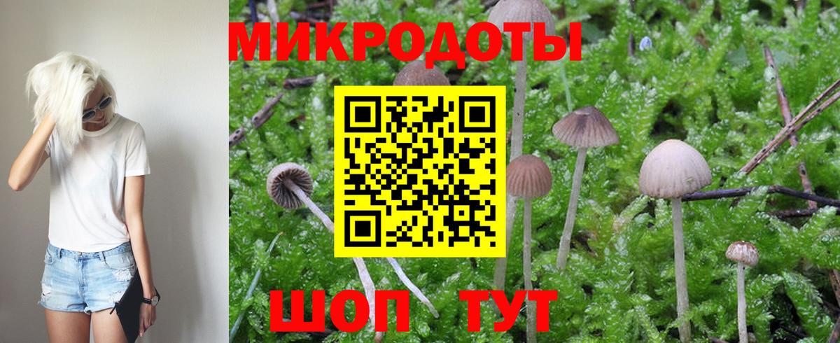 Галлюциногенные грибы Psilocybine cubensis Пенза